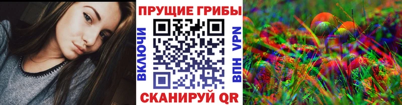 Галлюциногенные грибы Psilocybine cubensis  купить закладку  Нижние Серги 